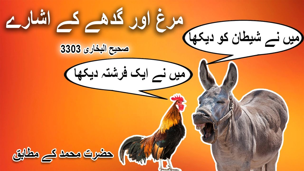 Sahih Al Bukhari 3303/حضرت محمد کے مطابق مرغ اور گدھے کے اشارے